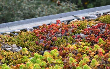 the cost of Harras green roof installation